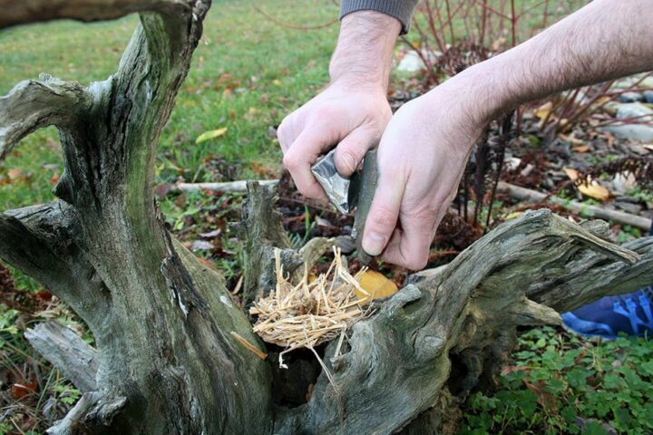 Animation feu © N. Pérez - CCNB