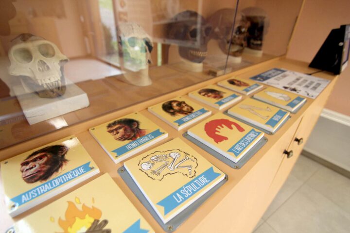 Laboratoire du Paléoanthropologue © S. Dasque