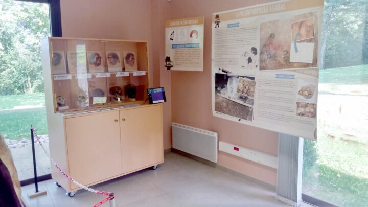 Laboratoire du Paléoanthropologue © N. ferrer