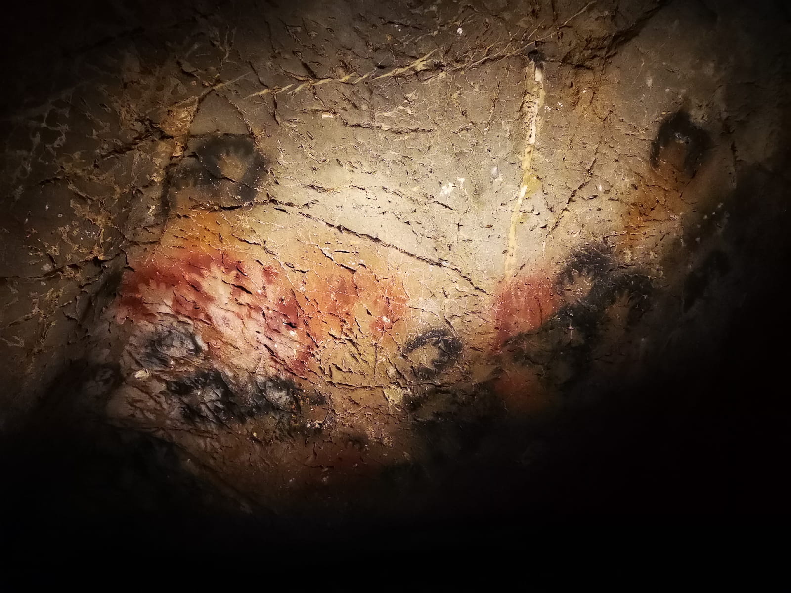 Mains négatives d'enfants - grande paroi des mains (Gargas I)